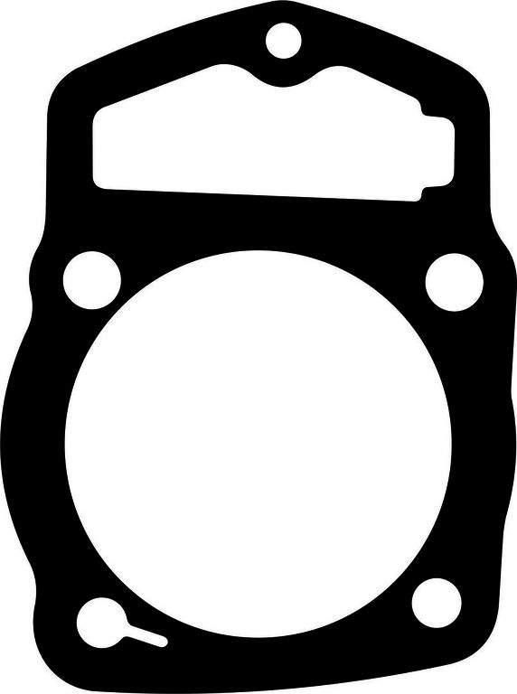 Прокладка цилиндра Racer 125 SVF SVF-14411
